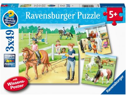 Ravensburger Puzzle Kone 3 x 49 dielikov