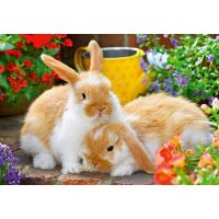 Ravensburger Puzzle Čas na maznanie 2 x 12 dielikov 3