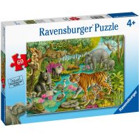 Ravensburger Puzzle Lesy Indie 60 dielikov 2
