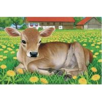 Ravensburger Puzzle Domácí zvířata 6 dílků 2
