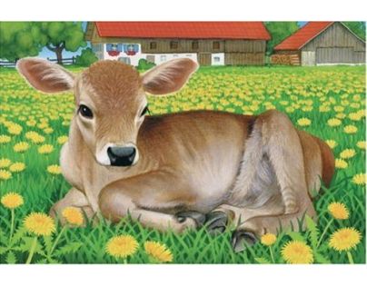 Ravensburger Puzzle Domácí zvířata 6 dílků