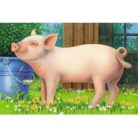 Ravensburger Puzzle Domácí zvířata 6 dílků 3