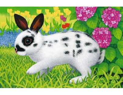 Ravensburger Puzzle Domácí zvířata 6 dílků