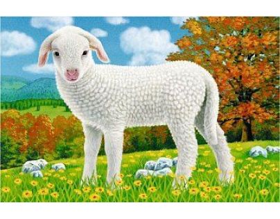 Ravensburger Puzzle Domácí zvířata 6 dílků