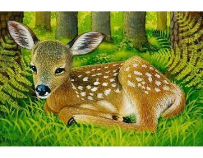 Ravensburger Puzzle Domácí zvířata 6 dílků
