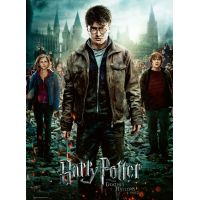 Ravensburger puzzle 128716 Harry Potter spolu v boji 300 dielikov