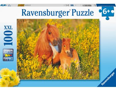 Ravensburger Puzzle Shetladnský poník 100 XXL dielikov