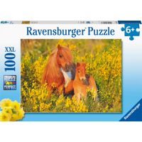 Ravensburger Puzzle Shetladnský poník 100 XXL dielikov 2