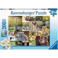 Ravensburger Puzzle Koláž zvieracích mláďat 200 dielikov 2