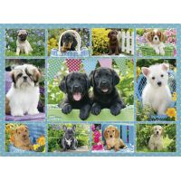 Ravensburger Roztomilé šteňatá 500 dielov 2