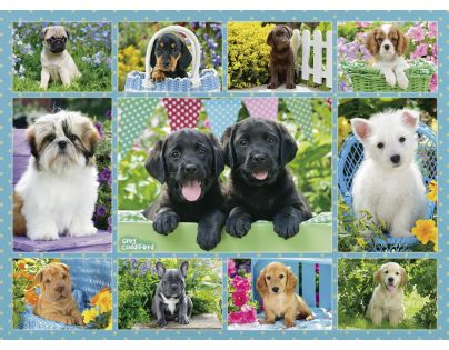 Ravensburger Roztomilé šteňatá 500 dielov