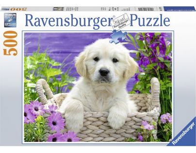Ravensburger Puzzle Roztomilý zlatý retriever 500 dielikov