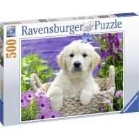 Ravensburger Puzzle Roztomilý zlatý retriever 500 dielikov 3