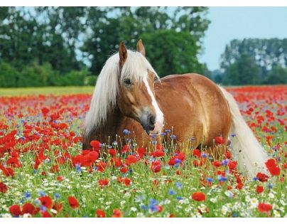 Ravensburger puzzle 148318 Kone 500 dielikov