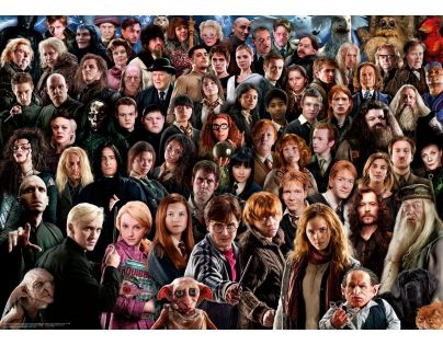 Ravensburger Puzzle Harry Potter Predstavitelia sveta čiar a kúziel 1000 dielikov