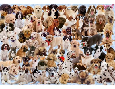 Ravensburger Puzzle Psíci 1000 dielikov