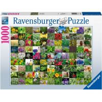 Ravensburger puzzle 159918 99 bylín a korenia 1000 dielikov 2