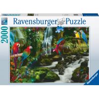 Ravensburger Puzzle Farebné papagáje v džungli 2000 dielikov 2