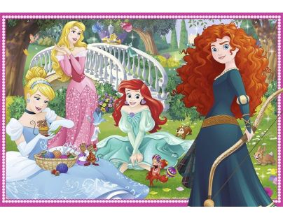 Ravensburger 76208 Disney Princezny 2x12 dílků