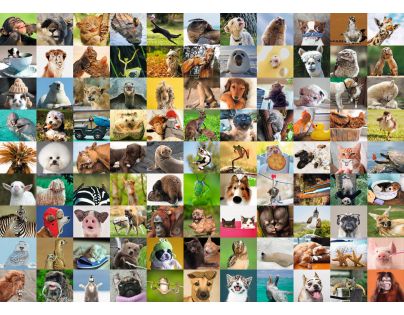 Ravensburger 99 funny animals 1000 dielov
