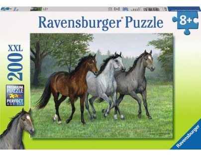 Ravensburger 200 Divoká trojica