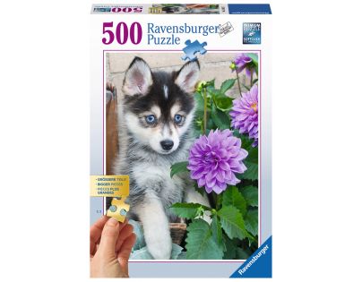 Ravensburger Husky 500 dílků