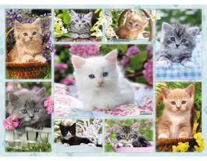 Ravensburger Puzzle Mačiatko v koši 500 dielikov