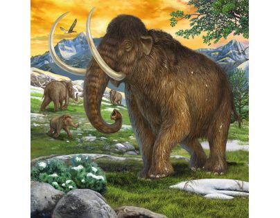Ravensburger Puzzle Praveké zvieratá 3 x 49 dielikov