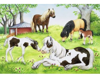 Ravensburger Puzzle Svet koní 2 x 24 dielikov