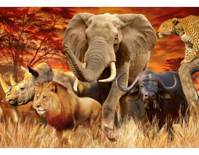 Ravensburger Velká pětka 1000 dílků