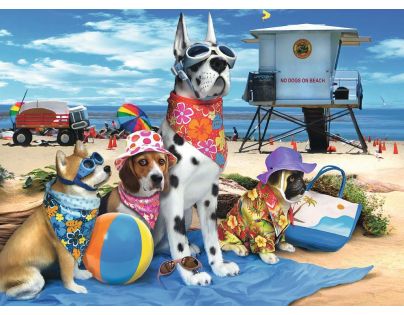Ravensburger puzzle Vstup na pláž psom zakázaný 100 dielikov
