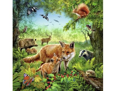 RAVENSBURGER Krajiny živočíchov 3 x 49 d