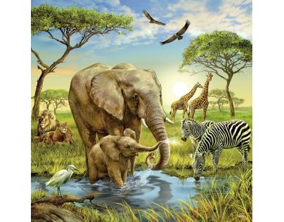 RAVENSBURGER Krajiny živočíchov 3 x 49 d