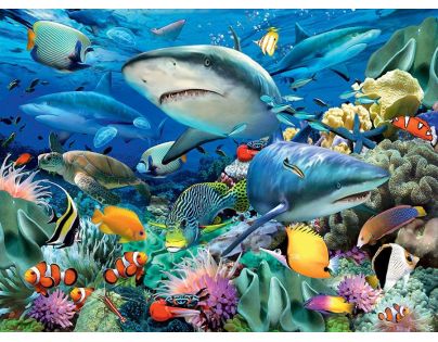 Ravensburger Puzzle Žraločí útes 100 XXL dielikov