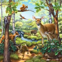 Ravensburger Puzzle Zvieratá v Zoo, lese alebo v dome 3 x 49 dielikov 3