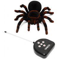 RC Tarantule 2