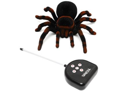 RC Tarantule