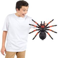 Robo Alive Veľká Tarantula 38,5 cm 5