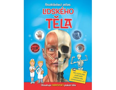 Rozkladacie atlas ľudského tela