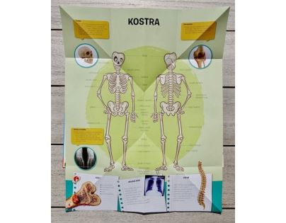 Rozkladacie atlas ľudského tela