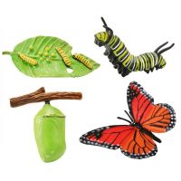 Safari Ltd Životný cyklus Motýľ