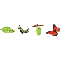 Safari Ltd Životný cyklus Motýľ 2