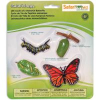 Safari Ltd Životný cyklus Motýľ 3