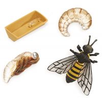 Safari Ltd Životný cyklus Včela