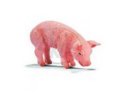 Schleich 13290 - Zvířátko - prasátko