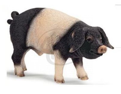 Schleich 13643 - Zvířátko - švábský vepř
