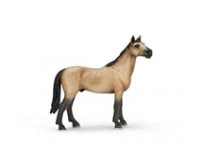 Schleich 13690 - Zvířátko - Akhal kůň