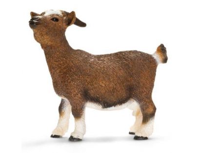 Schleich Koza zakrslá