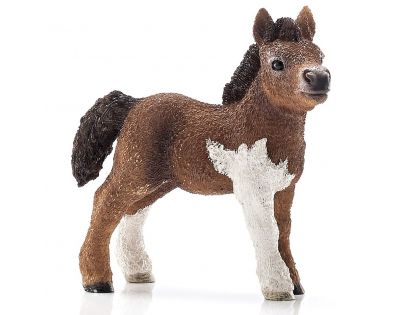 Schleich mláďa shetlandského poníka