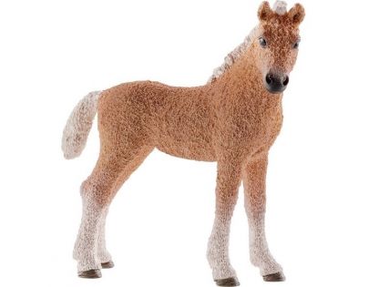 Schleich 13781 Hříbě Bashkir Curly